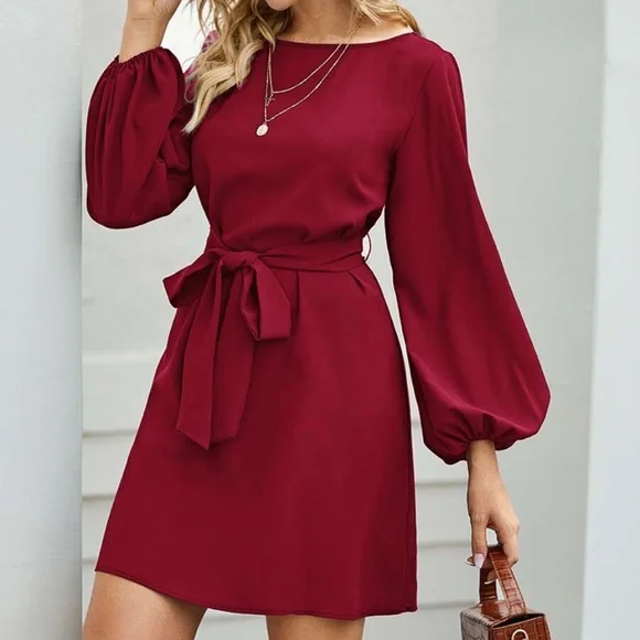 Classic lantern long sleeve belted mini Dress - Picture 11 of 15